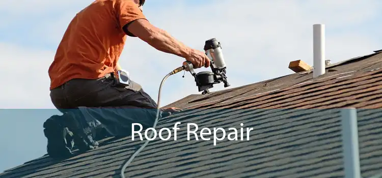 Roof Repair 